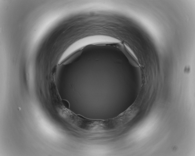 X0000094060239200711021453