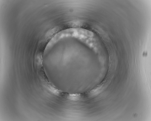 X0000094060240200711021453