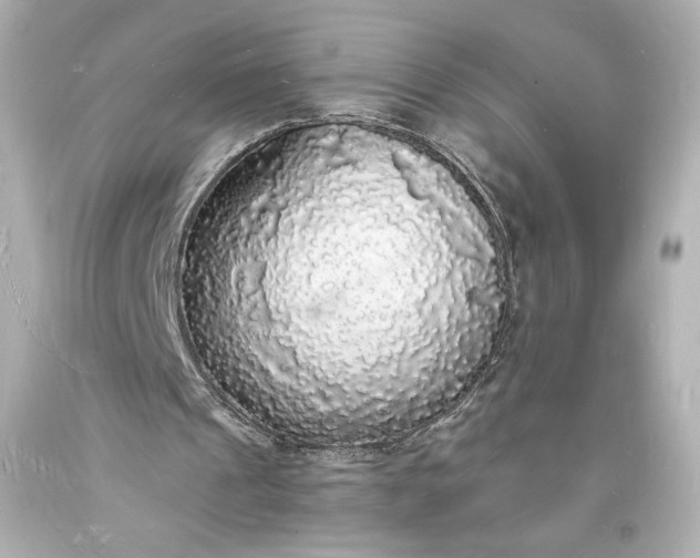X0000094060241200711021452