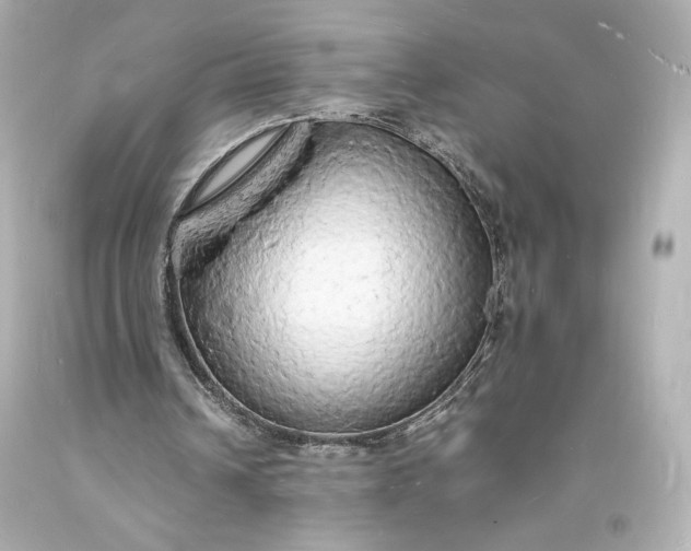 X0000094060242200711021452