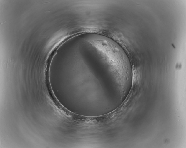 X0000094060243200711021452