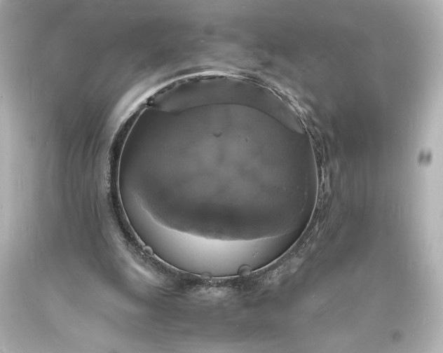 X0000094060247200711021452