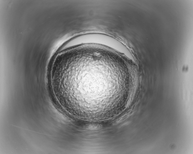 X0000094060248200711021452