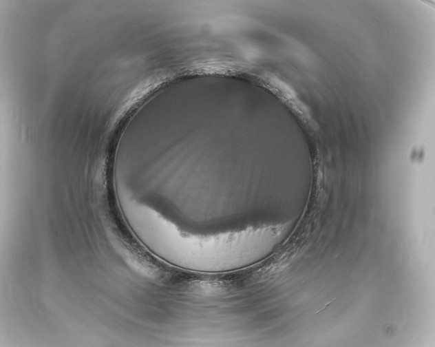 X0000094060250200711021452