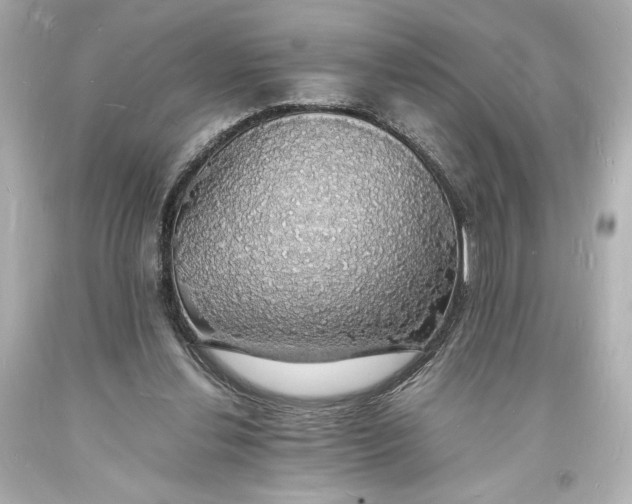 X0000094060252200711021452