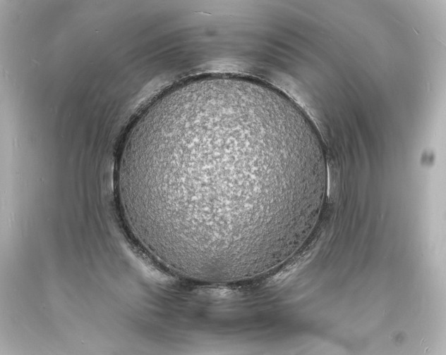 X0000094060253200711021452