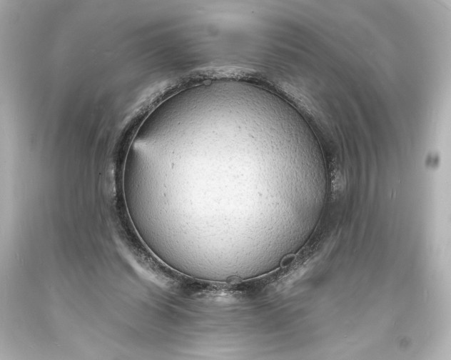 X0000094060254200711021452