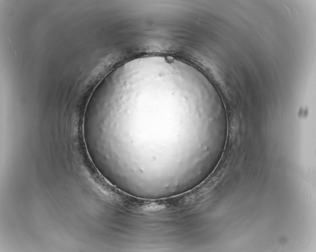 X0000094060257200711021452