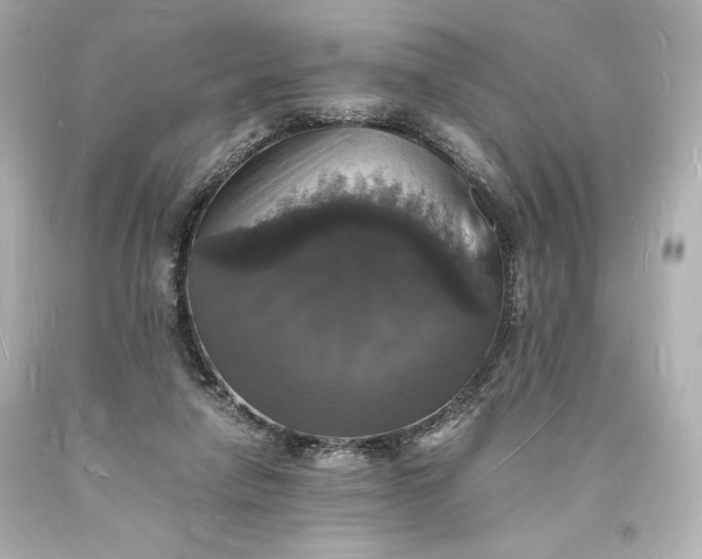 X0000094060258200711021452
