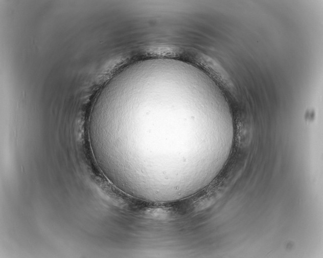 X0000094060259200711021452