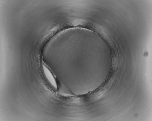 X0000094060260200711021453