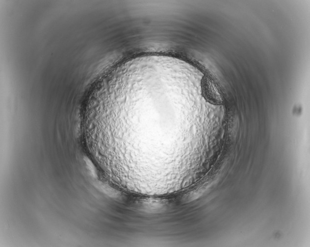 X0000094060261200711021453