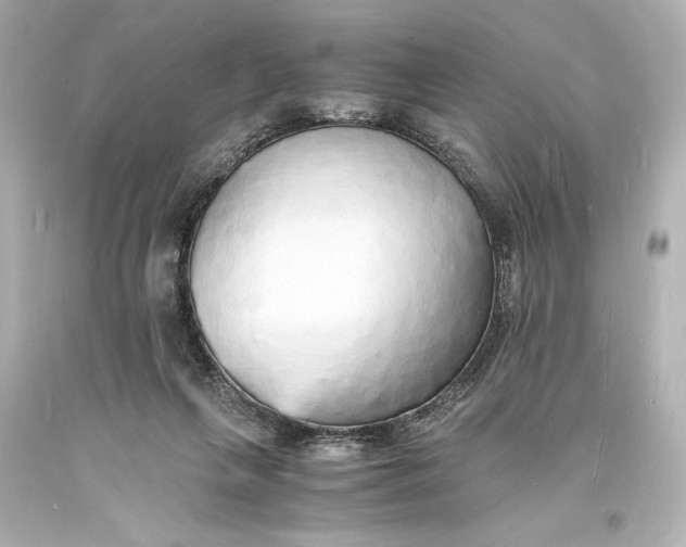 X0000094060263200711021453