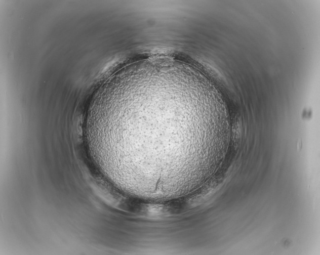 X0000094060264200711021453