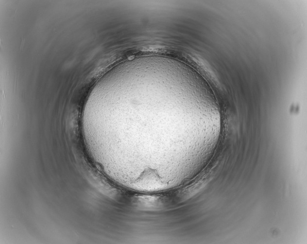 X0000094060265200711021453