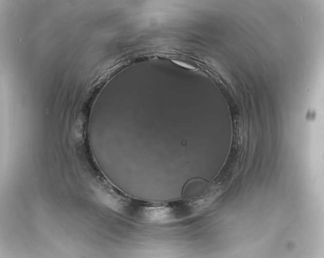 X0000094060266200711021453