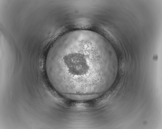 X0000094060268200711021453