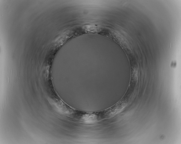 X0000094060271200711021453