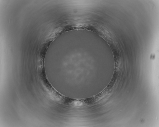 X0000094060272200711021453