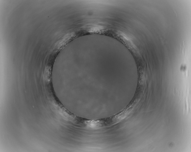 X0000094060273200711021453