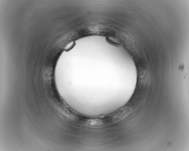 X0000094060275200711021453
