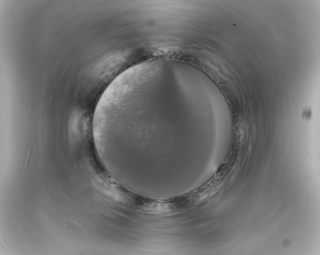 X0000094060276200711021453
