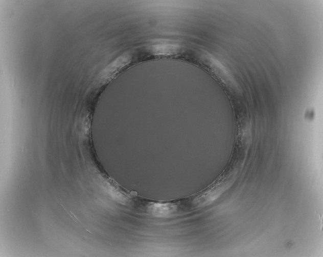 X0000094060277200711021453