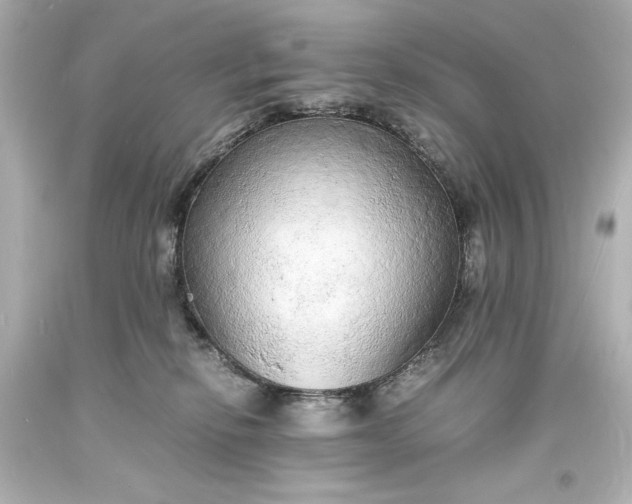 X0000094060278200711021453