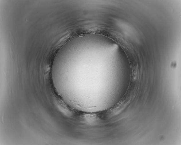 X0000094060279200711021453