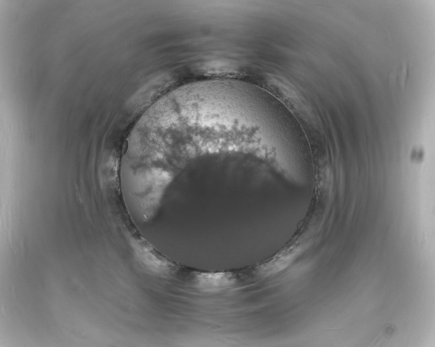 X0000094060281200711021453