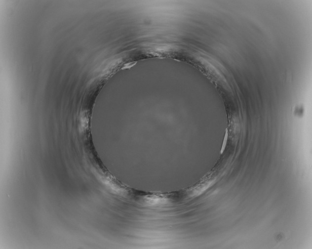 X0000094060284200711021453
