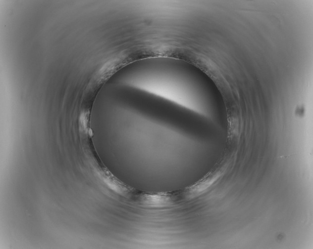 X0000094060286200711021453