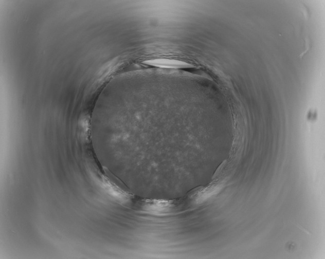 X0000094060288200711021453