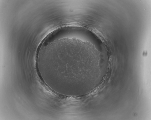X0000094060290200711021452