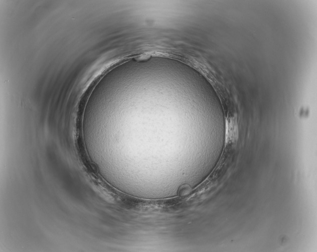 X0000094060291200711021452