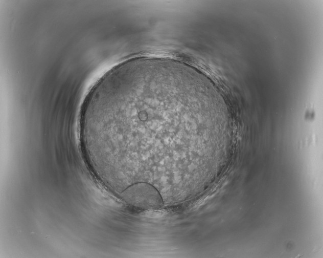 X0000094060294200711021452