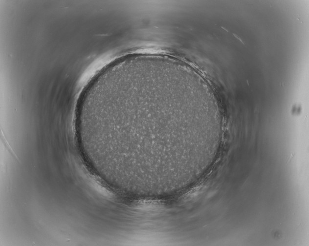 X0000094060296200711021452