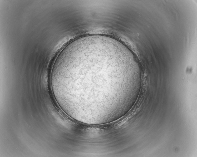 X0000094060298200711021452