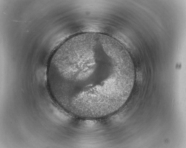 X0000094060302200711021452