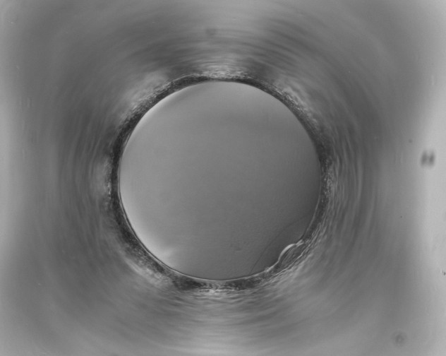 X0000094060303200711021452