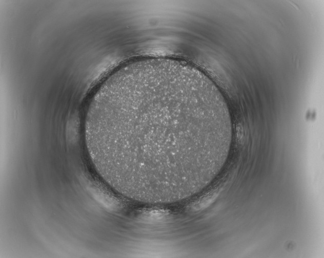 X0000094060304200711021452