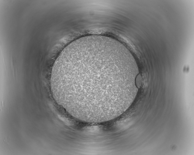 X0000094060307200711021452