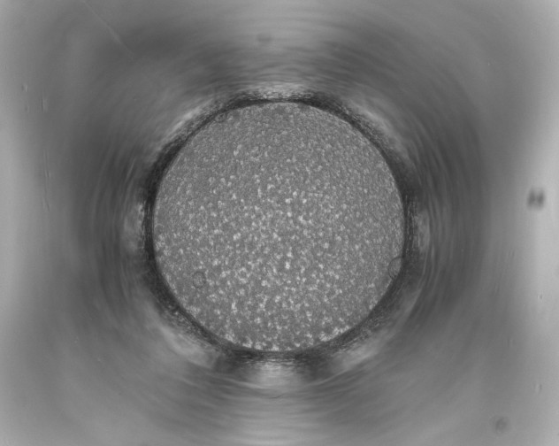 X0000094060308200711021452