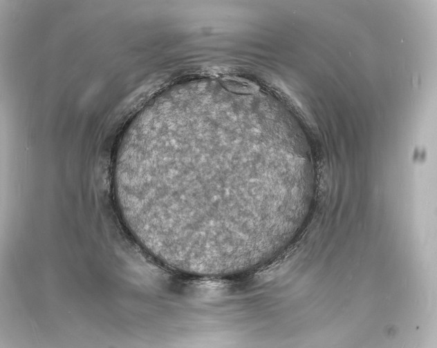 X0000094060313200711021452