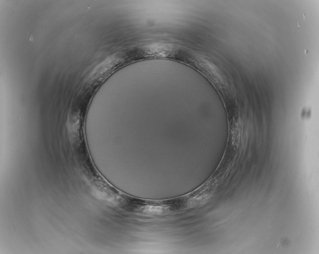 X0000094060314200711021452
