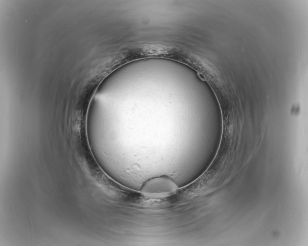 X0000094060315200711021452