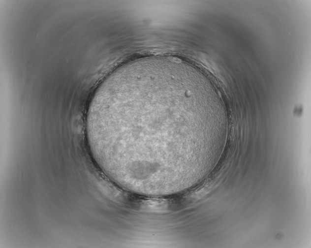 X0000094060317200711021452