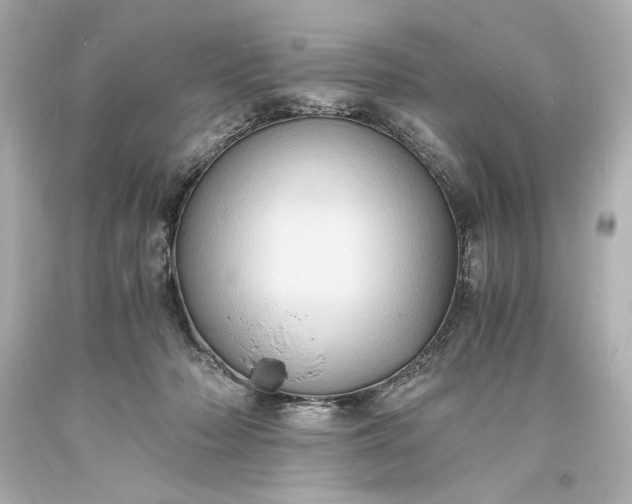 X0000094060318200711021452