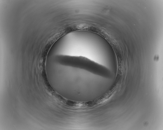 X0000094060319200711021452