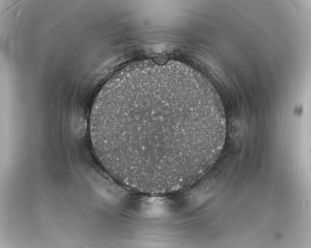 X0000094060324200711021451
